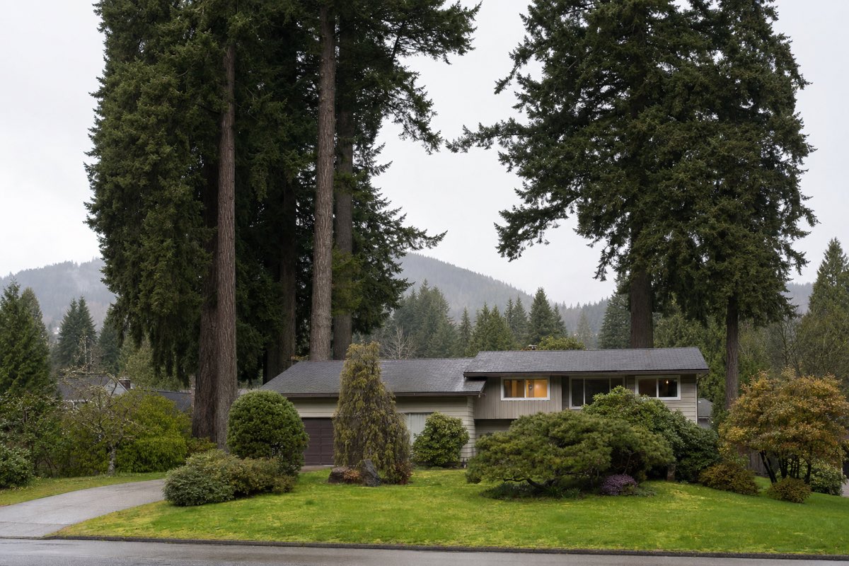 Mature Douglas firs and cedars towering over a Fraser Valley home under overcast coastal skies